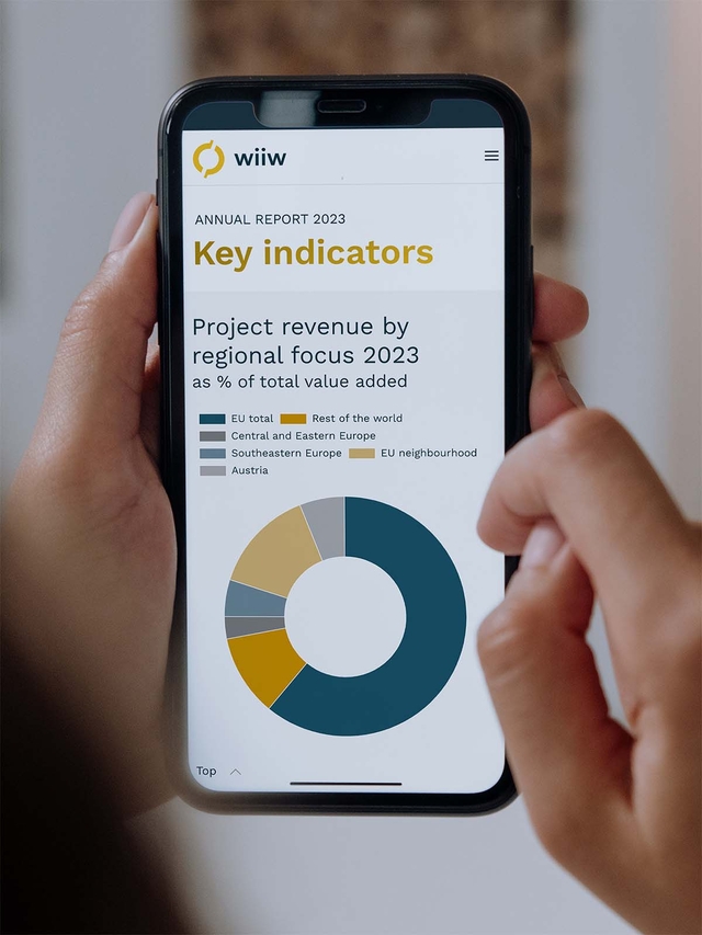 Projekt: wiiw annual report (Digital Report, Interaktive Charts, Webdesign, Programmierung, CMS)